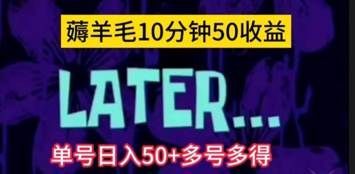 美团薅羊毛玩法，单号日入50+多号多得【仅揭秘】-大熊网创