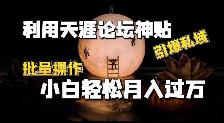 利用天涯论坛神贴，引爆私域，批量操作，小白轻松月入过w【揭秘】-大熊网创