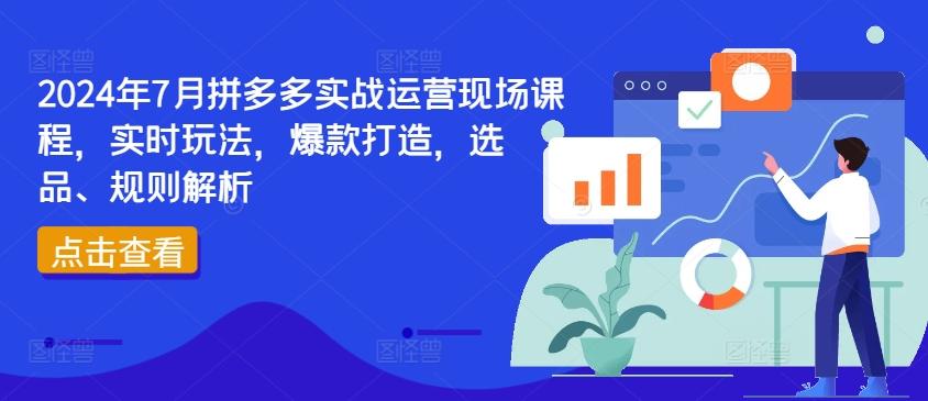 2024年7月拼多多实战运营现场课程，实时玩法，爆款打造，选品、规则解析-大熊网创