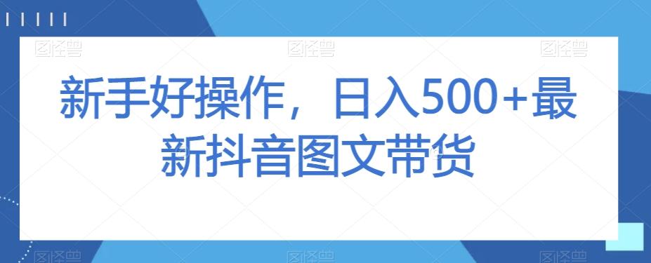 新手好操作，日入500+最新抖音图文带货【揭秘】-大熊网创