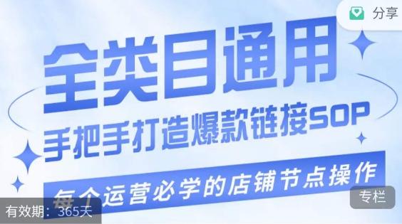 单品爆款打造实操运营，单品爆款从“0”-“1”手把手演练运营步骤-大熊网创