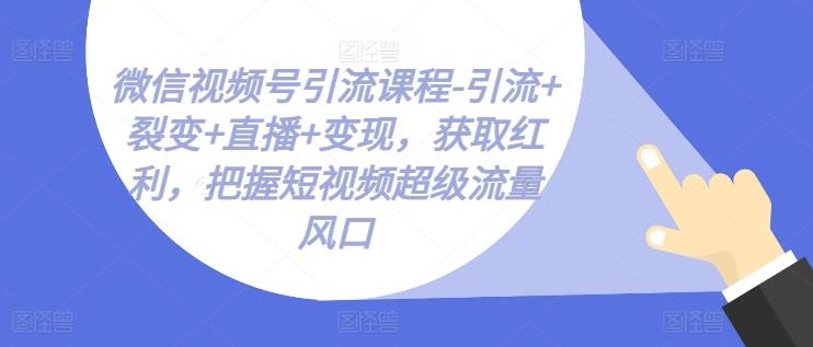 微信视频号引流课程-引流+裂变+直播+变现，获取红利，把握短视频超级流量风口-大熊网创
