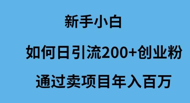 (9668期)新手小白如何日引流200+创业粉通过卖项目年入百万-大熊网创