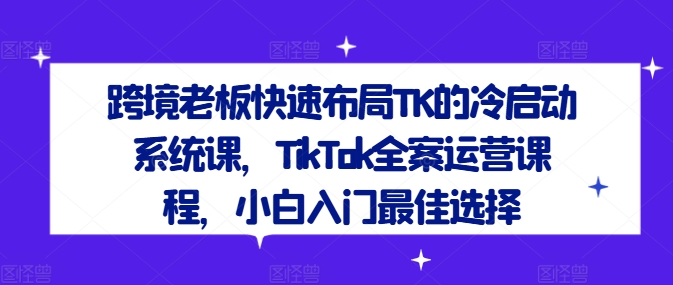跨境老板快速布局TK的冷启动系统课，TikTok全案运营课程，小白入门最佳选择-大熊网创