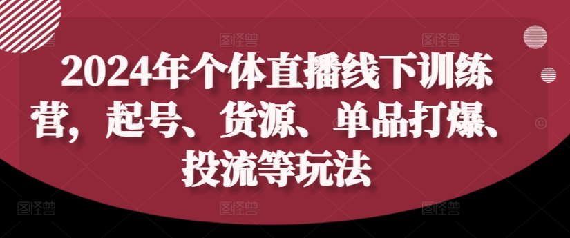 2024年个体直播训练营，起号、货源、单品打爆、投流等玩法-大熊网创