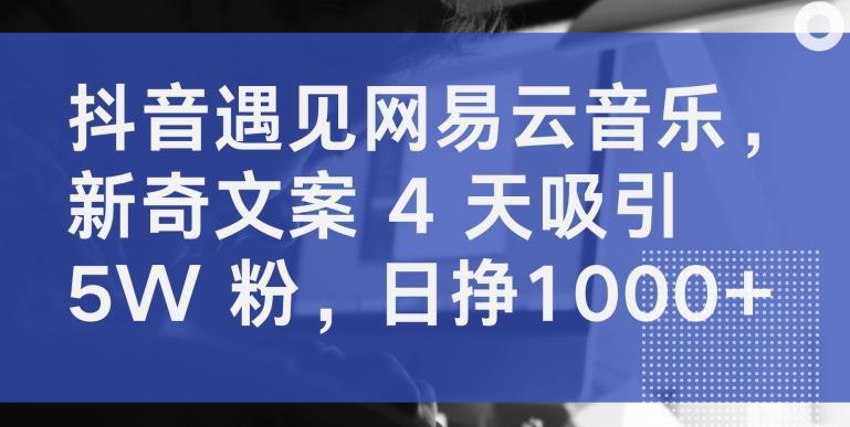 抖音遇见网易云音乐，新奇文案 4 天吸引 5W 粉，日挣1000+【揭秘】-大熊网创