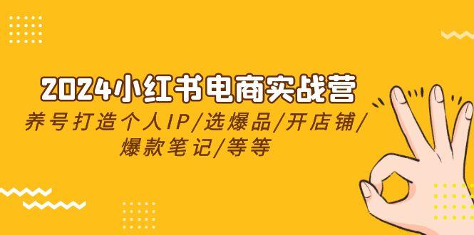 2024小红书电商实战营，养号打造IP/选爆品/开店铺/爆款笔记/等等(24节)-大熊网创