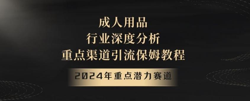 2024年重点潜力赛道，成人用品行业深度分析，重点渠道引流保姆教程【揭秘】-大熊网创