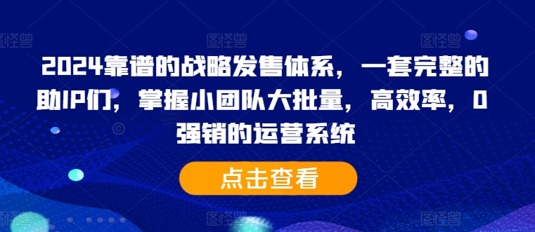 2024靠谱的战略发售体系，一套完整的助IP们，掌握小团队大批量，高效率，0 强销的运营系统-大熊网创