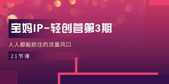 宝妈IP-轻创营第3期，人人都能抓住的流量风口(21节课-大熊网创