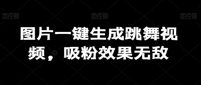 图片一键生成跳舞视频，吸粉效果无敌-大熊网创