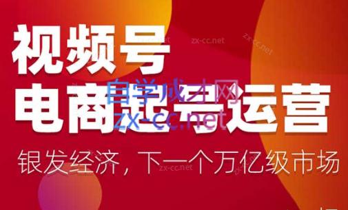 陈大黑牛·视频号电商起号运营课(更新到24年5月)-大熊网创
