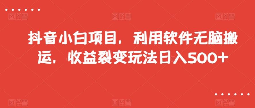 抖音小白项目，利用软件无脑搬运，收益裂变玩法日入500+【揭秘】-大熊网创