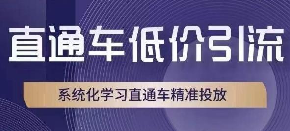 直通车低价引流课，系统化学习直通车精准投放-大熊网创
