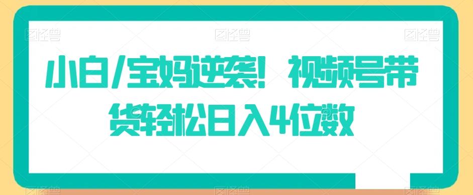 小白/宝妈逆袭！视频号带货轻松日入4位数【揭秘】-大熊网创