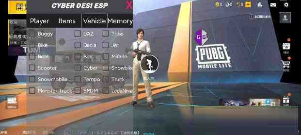 PUBG轻量老外裸奔绘制+自瞄 支持ROOT和框架 里面有全局离线-大熊网创