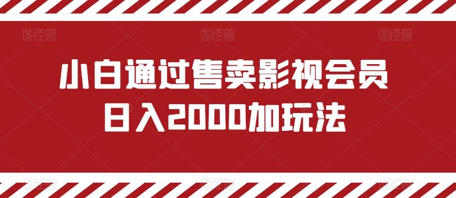 小白通过售卖影视会员日入2000加玩法-大熊网创