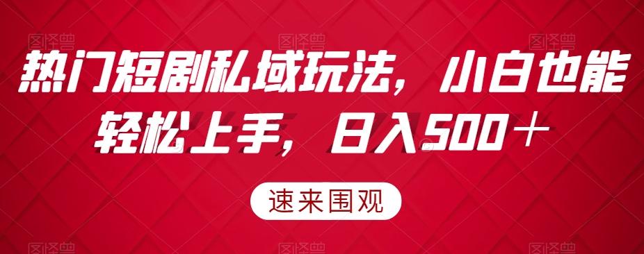 热门短剧私域玩法，小白也能轻松上手，日入500＋-大熊网创