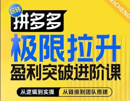 拼多多极限拉升盈利突破进阶课，​从算法到玩法，从玩法到团队搭建，体系化系统性帮助商家实现利润提升-大熊网创