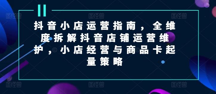 抖音小店运营指南，全维度拆解抖音店铺运营维护，小店经营与商品卡起量策略-大熊网创