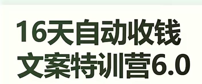 16天自动收钱文案特训营6.0，学会儿每天自动咔咔收钱-大熊网创