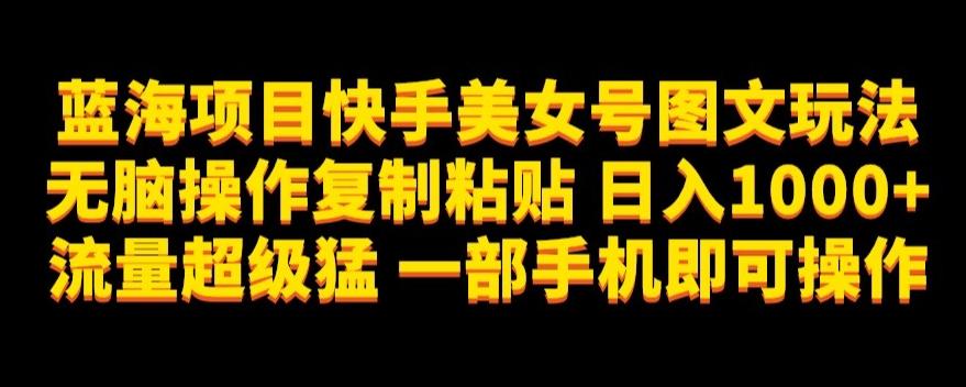 蓝海项目快手美女号图文玩法，无脑操作复制粘贴，日入1000+流量超级猛一部手机即可操作【揭秘】-大熊网创