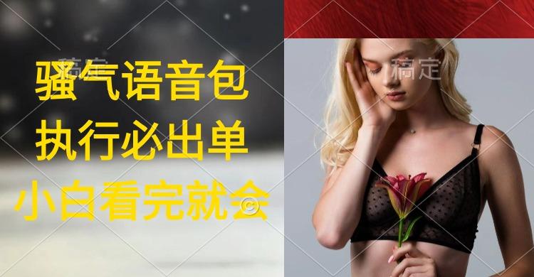 (9589期)执行就出单，日入2000+，超火骚气语音包，小白看完课程就能马上实操-大熊网创