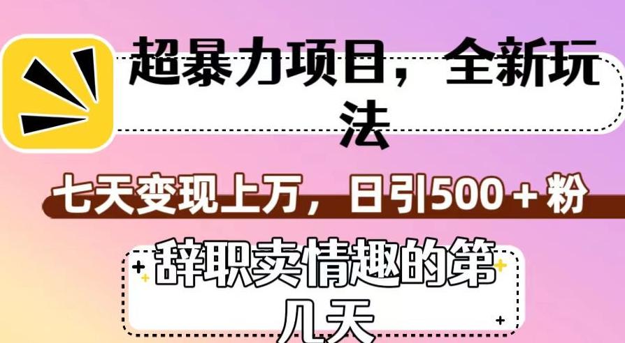 超暴利项目，全新玩法（辞职卖情趣的第几天），七天变现上万，日引500+粉【揭秘】-大熊网创