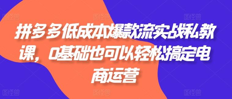 拼多多低成本爆款流实战私教课，0基础也可以轻松搞定电商运营-大熊网创