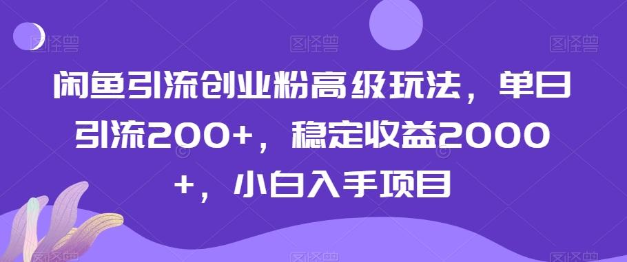 闲鱼引流创业粉高级玩法，单日引流200+，稳定收益2000+，小白入手项目-大熊网创
