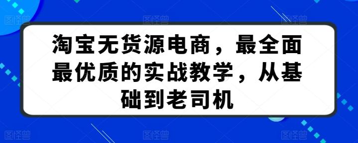 淘宝无货源电商，最全面最优质的实战教学，从基础到老司机-大熊网创