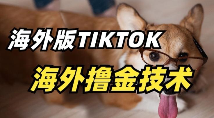 抖音海外版tiktok撸金技术，这个风口行业，赚钱真的不难【揭秘】-网创星球