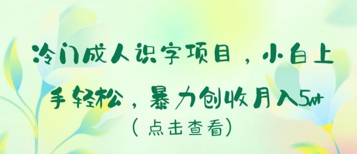 冷门成人识字项目，小白上手轻松，暴力创收月入5w+【揭秘】-大熊网创