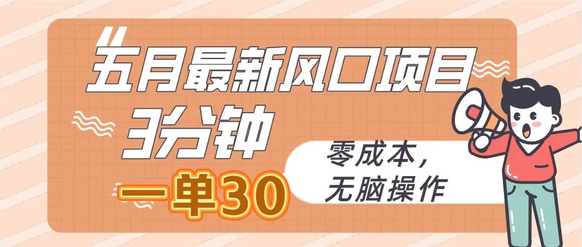 五月最新风口项目，3分钟一单30，零成本，无脑操作-大熊网创