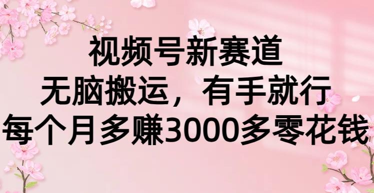 (9278期)视频号新赛道，无脑搬运，有手就行，每个月多赚3000多零花钱-大熊网创