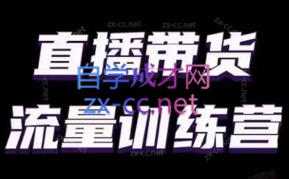 婉婉·直播带货课程系列合集(更新8月)-大熊网创