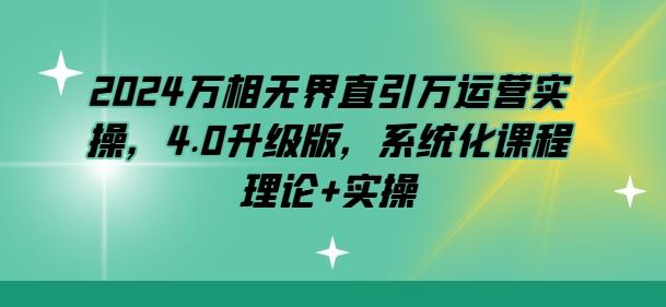 2024万相无界直引万运营实操，4.0升级版，系统化课程 理论+实操-大熊网创