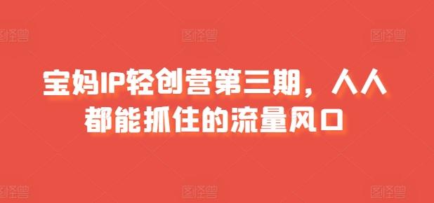 宝妈IP轻创营第三期，人人都能抓住的流量风口-大熊网创