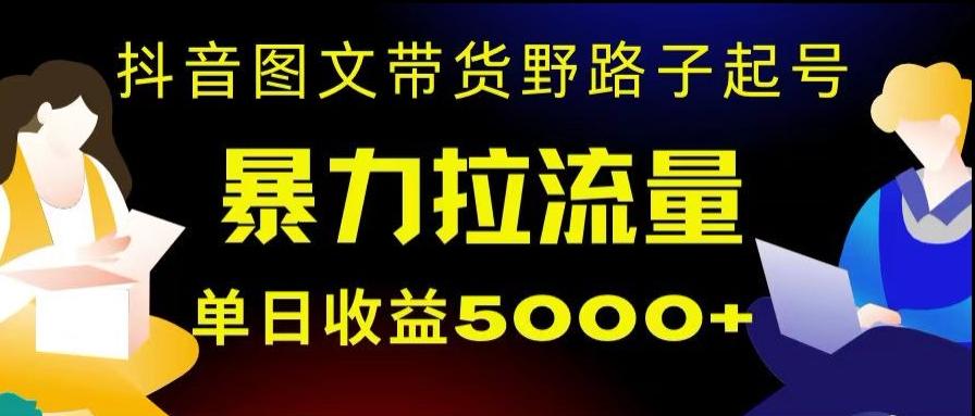 抖音图文带货暴力起号，单日收益5000+，野路子玩法，简单易上手，一部手机即可【揭秘】-大熊网创