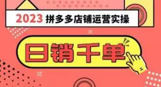 2023拼多多运营实操，每天30分钟日销1000＋，爆款选品技巧大全（10节课）-大熊网创