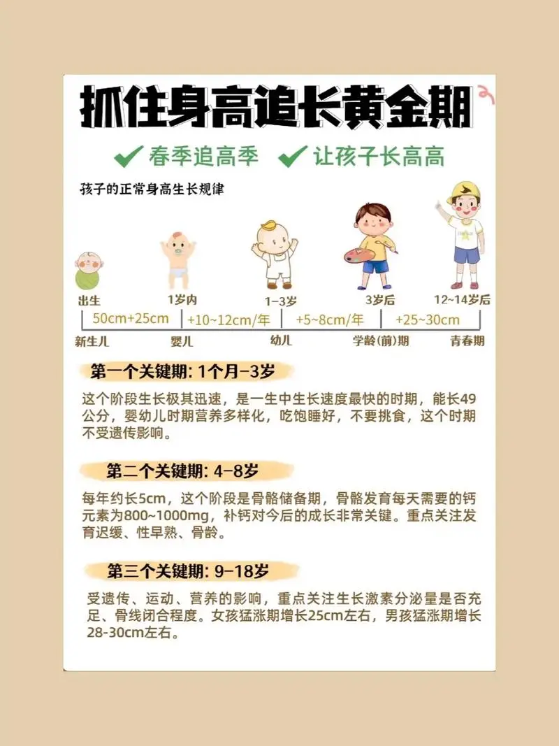 抓住长高黄金期 让孩子突破遗传二次长高-大熊网创