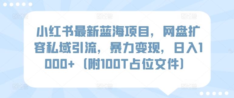 小红书最新蓝海项目，网盘扩容私域引流，暴力变现，日入1000+(附100T占位文件)【揭秘】-大熊网创