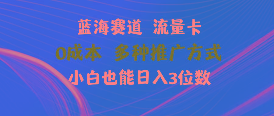 蓝海赛道 流量卡 0成本 小白也能日入三位数-大熊网创