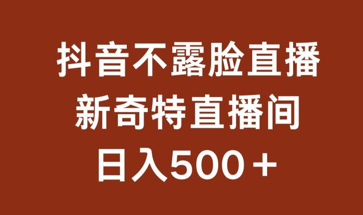 不露脸挂机直播，新奇特直播间，日入500+【揭秘】-大熊网创