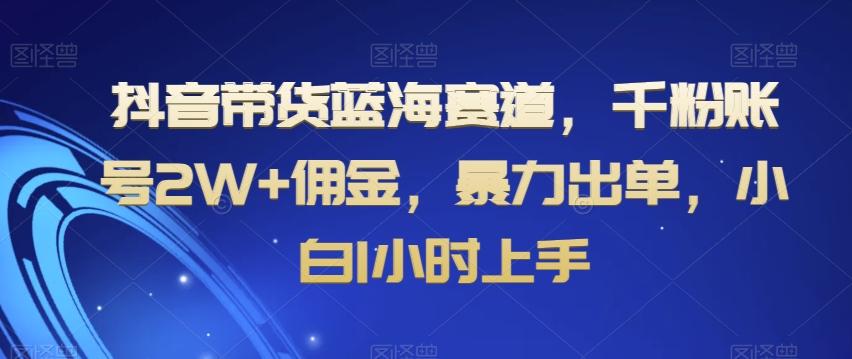 抖音带货蓝海赛道，千粉账号2W+佣金，暴力出单，小白1小时上手【揭秘】-大熊网创