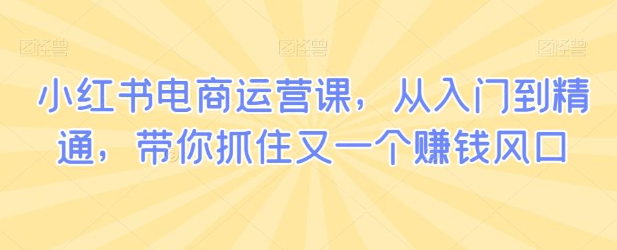 小红书电商运营课，从入门到精通，带你抓住又一个赚钱风口-网创星球