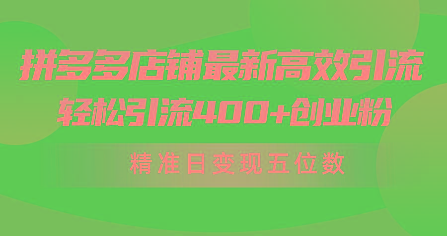 (10041期)拼多多店铺最新高效引流术，轻松引流400+创业粉，精准日变现五位数！-大熊网创