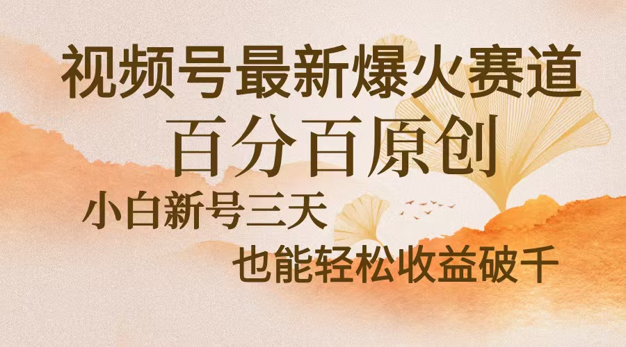 视频号最新爆火赛道，中老年粉深信不疑，百分百原创，新号三天收益轻松…-大熊网创