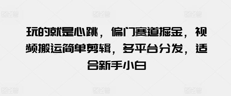 玩的就是心跳，偏门赛道掘金，视频搬运简单剪辑，多平台分发，适合新手小白【揭秘】-大熊网创