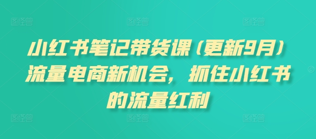 小红书笔记带货课(更新9月)流量电商新机会，抓住小红书的流量红利-大熊网创